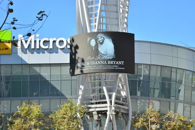 DSC_7108 (Large).JPG